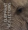 book cover elephant